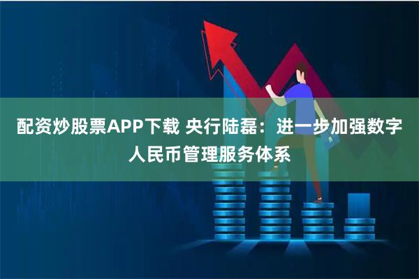 配资炒股票APP下载 央行陆磊：进一步加强数字人民币管理服务体系